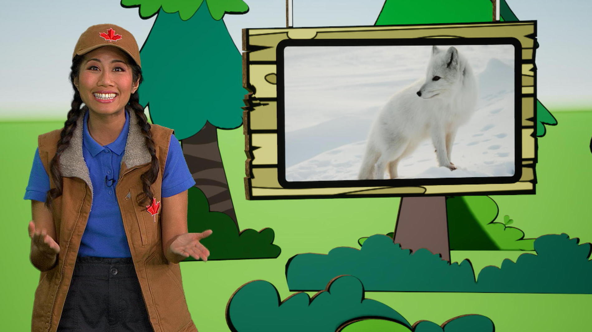 Savais-tu que... Les animaux canadiens