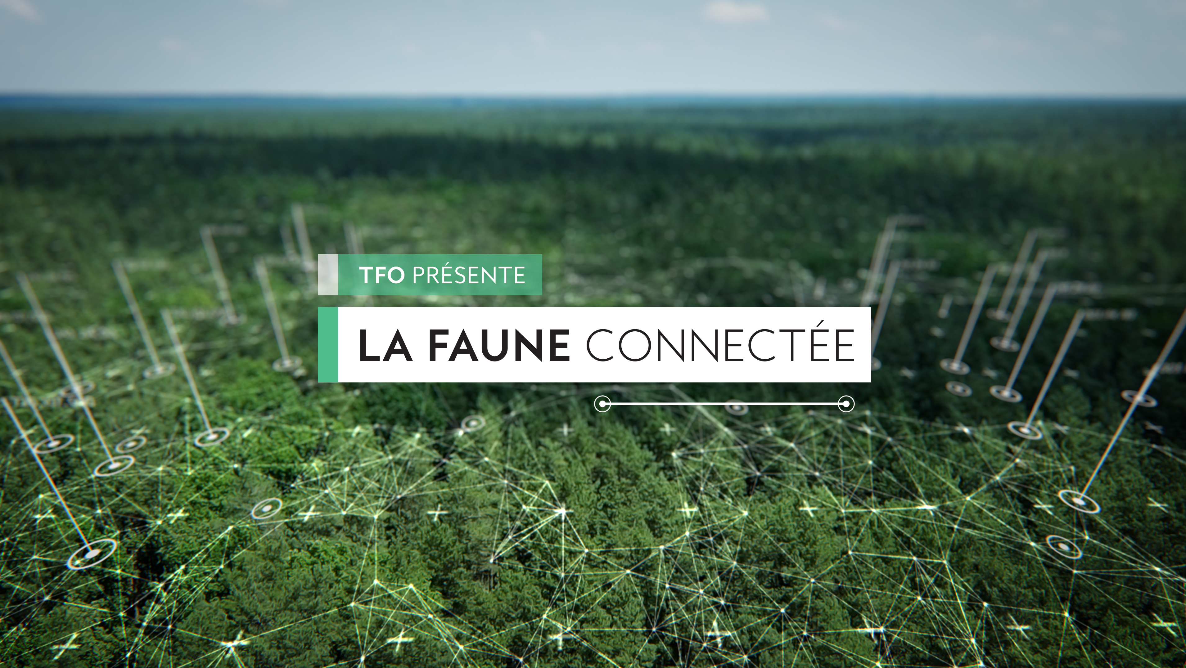 La faune connectée