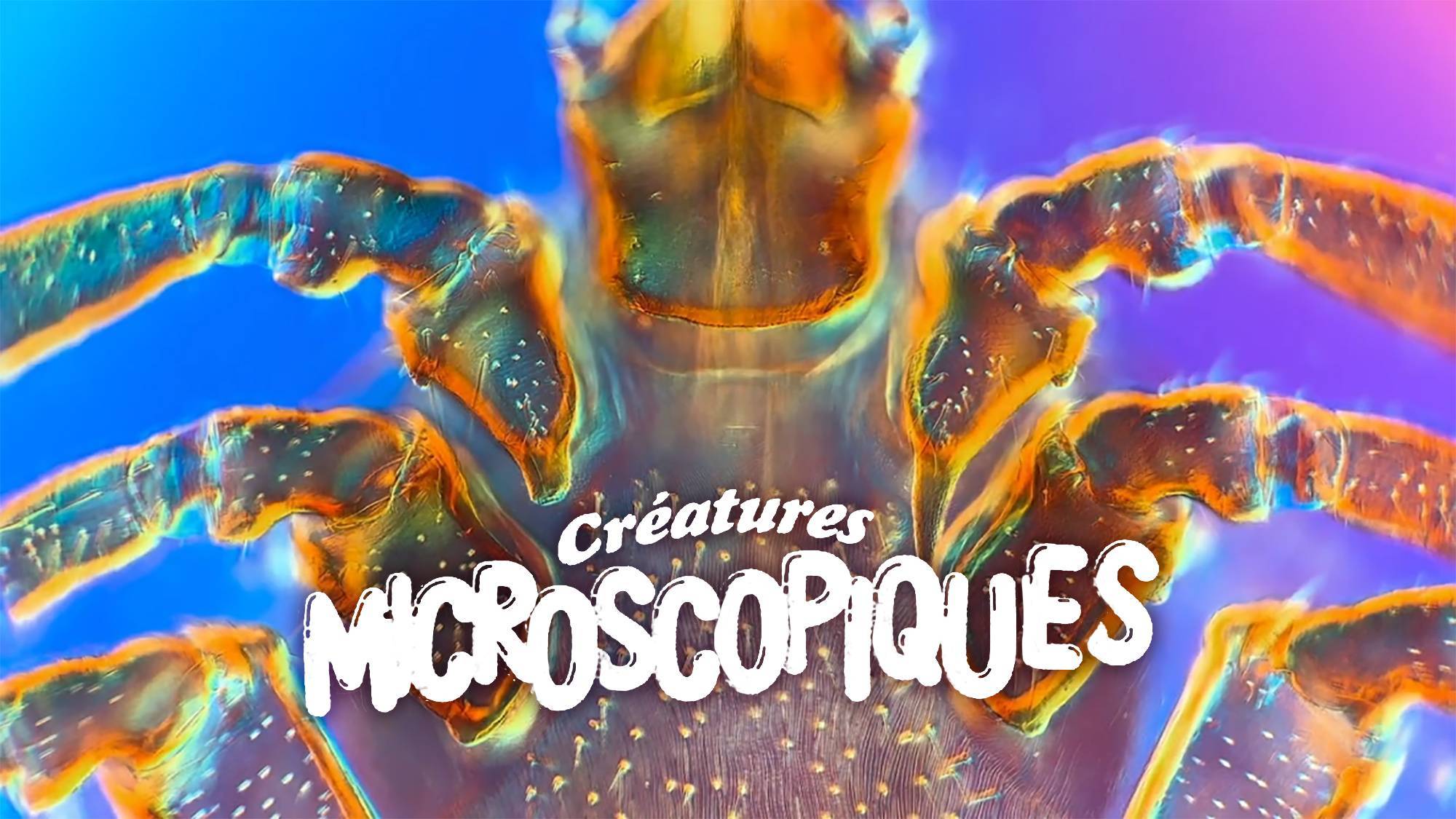Créatures microscopiques