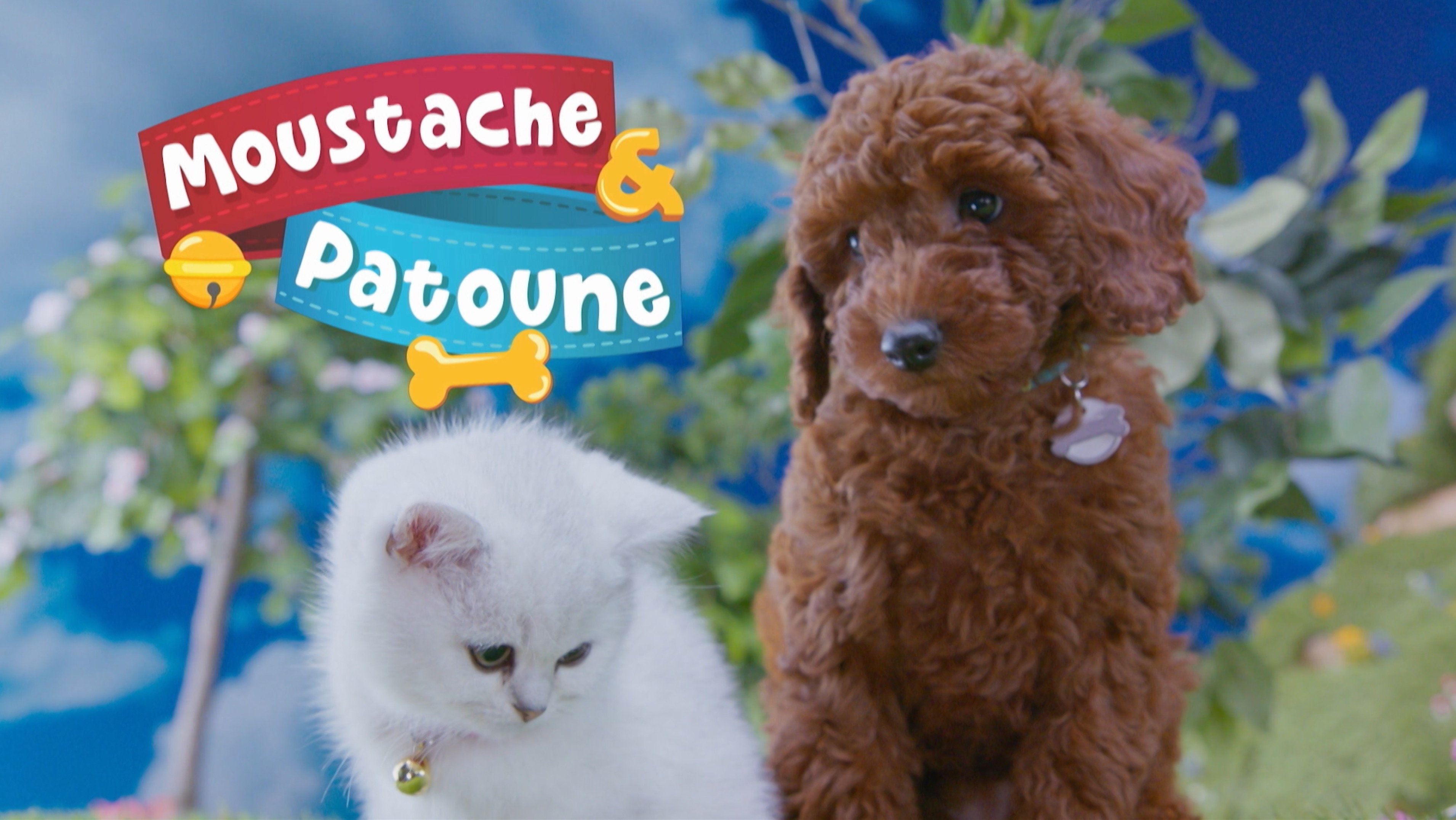 Moustache & Patoune