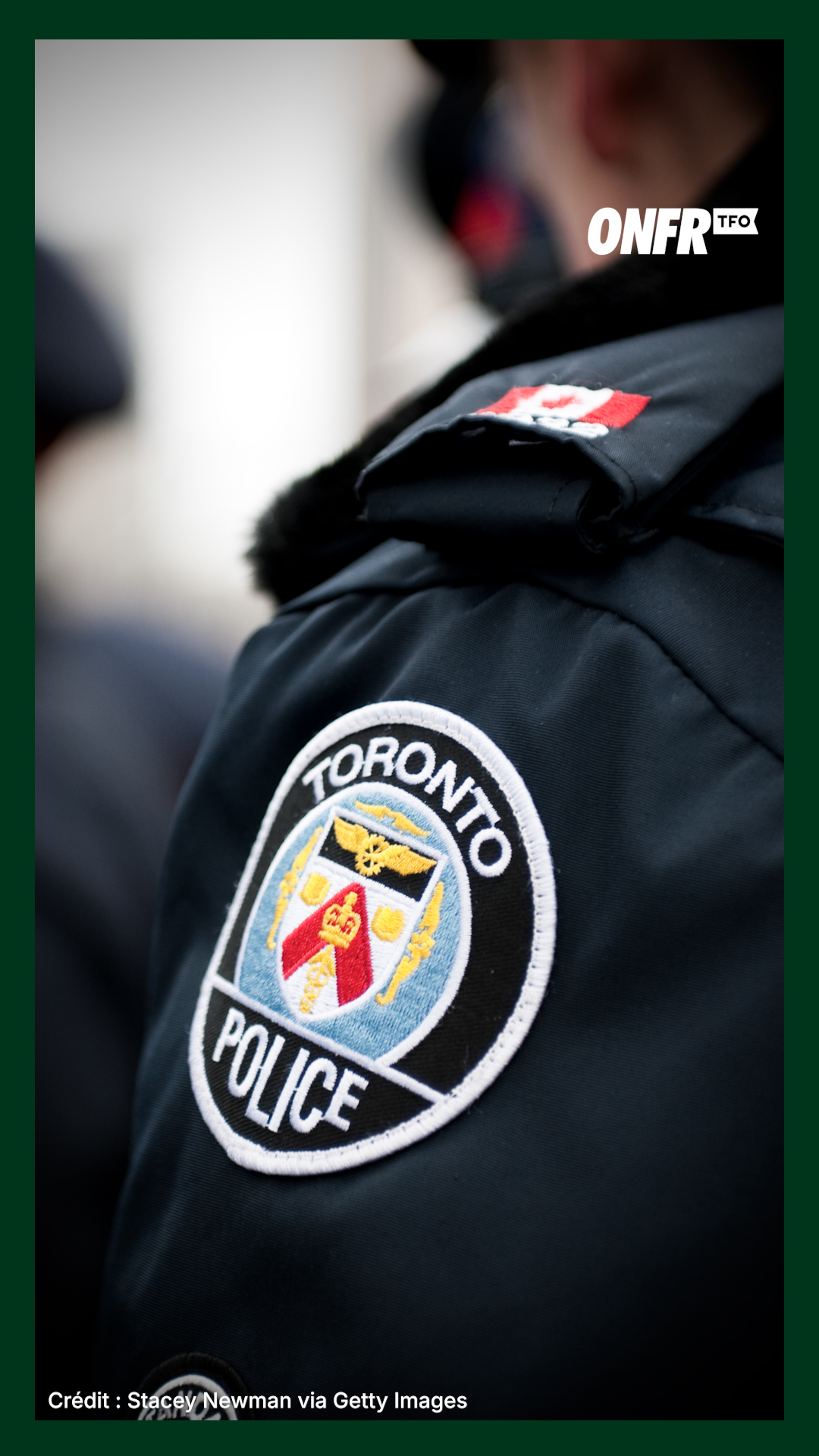 Le fil politique | 12 février 2026