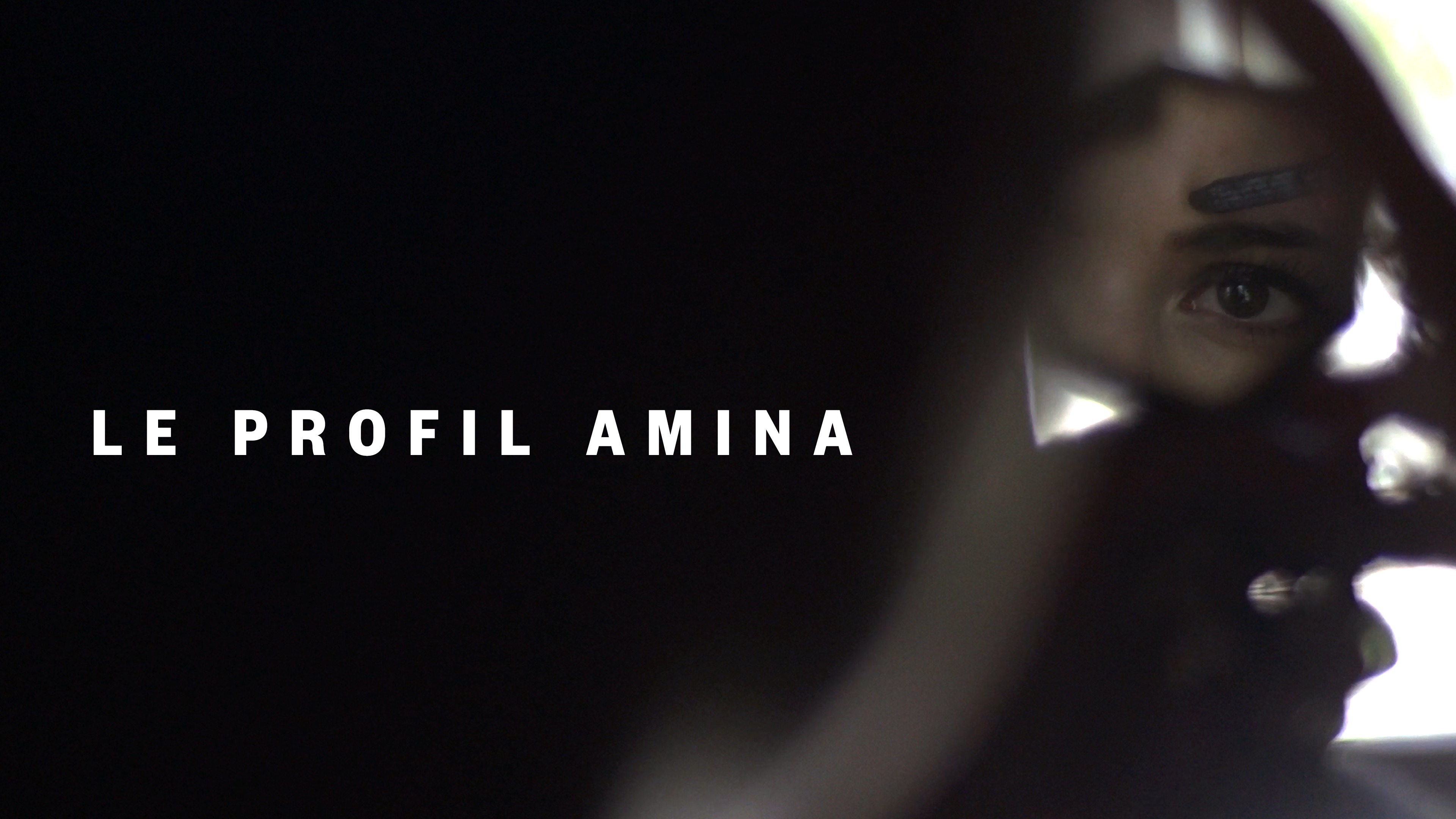 Le profil Amina