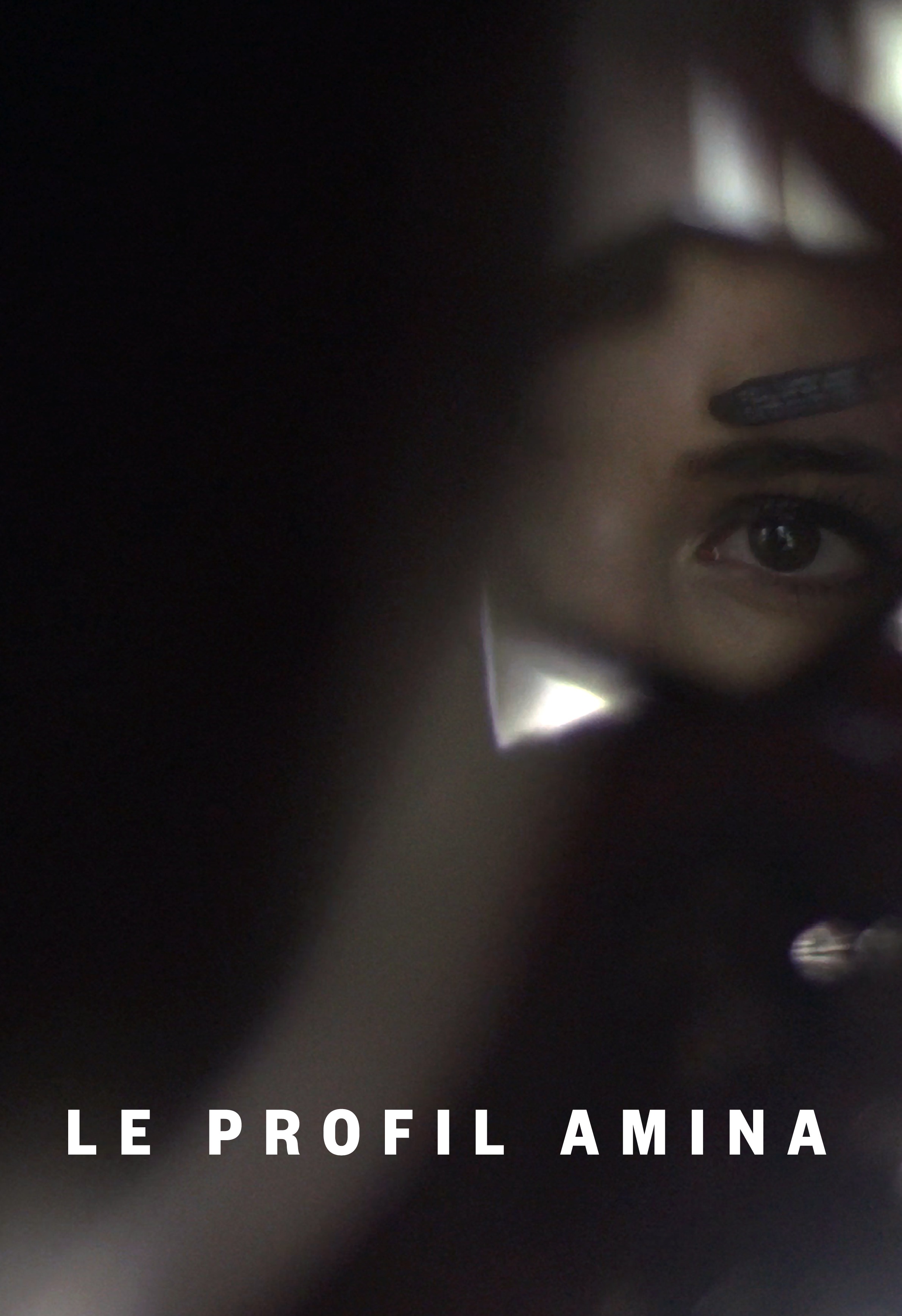 Le profil Amina