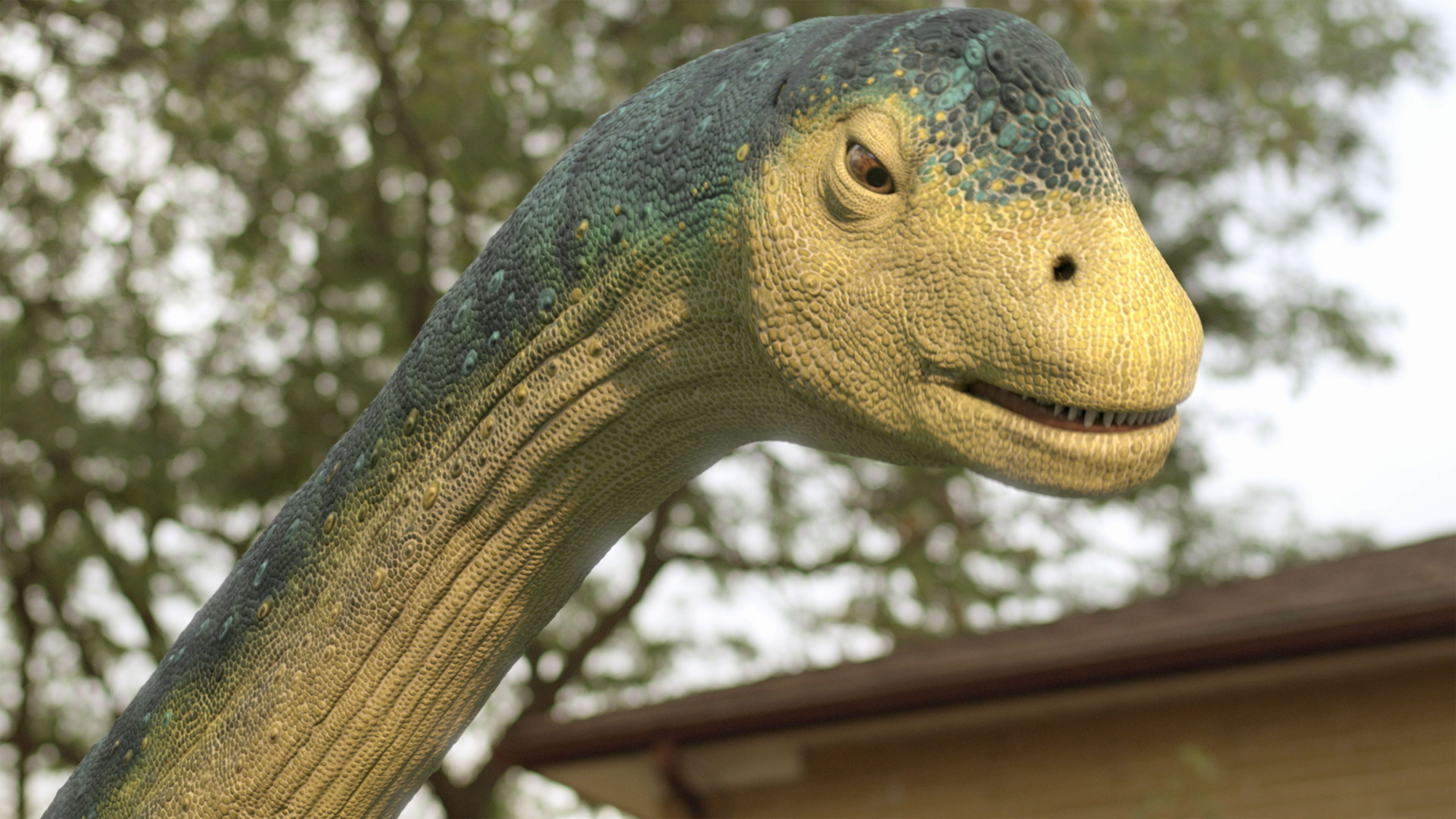 Dino-épicerie - Dino punition