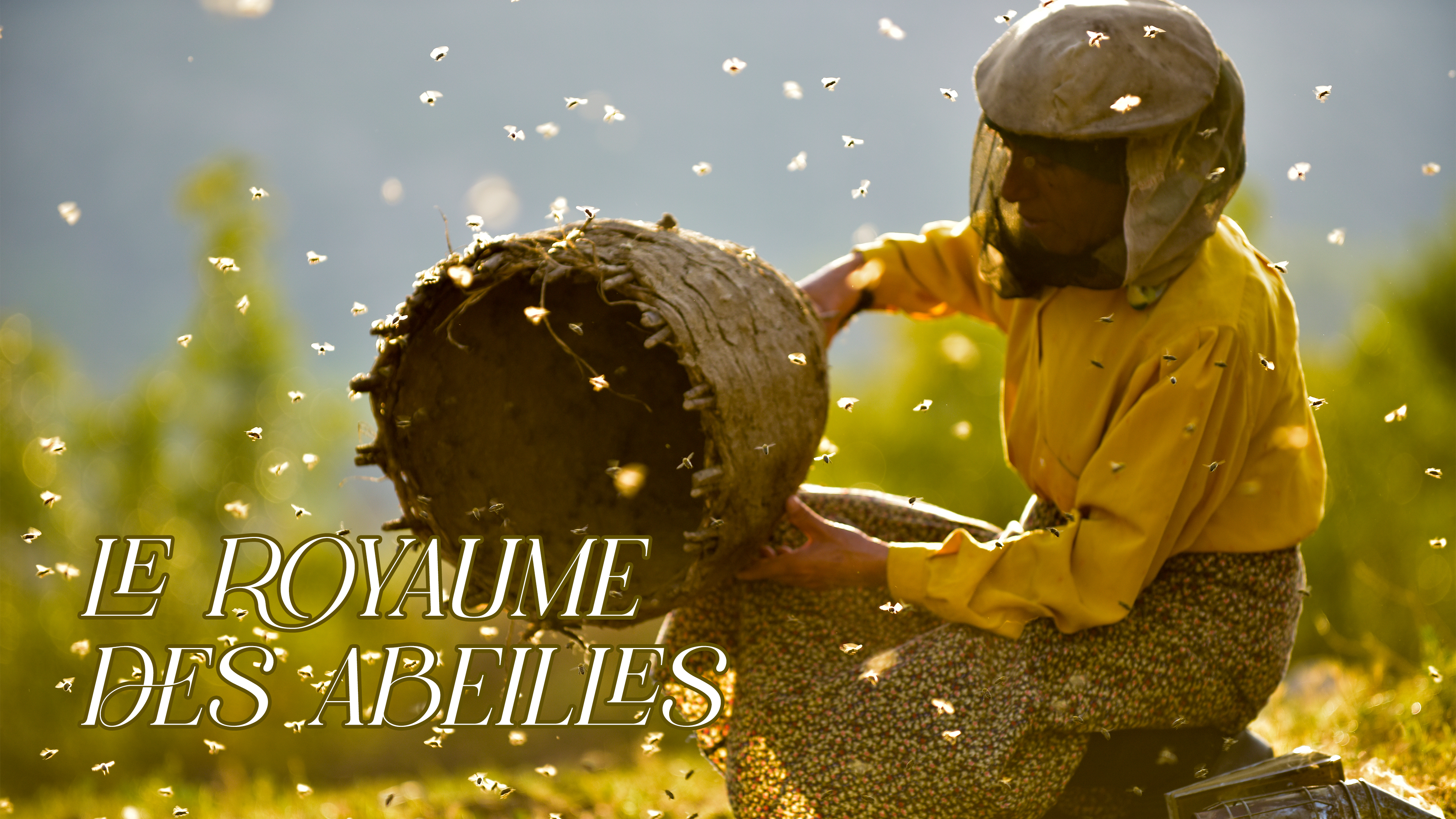 Le royaume des abeilles