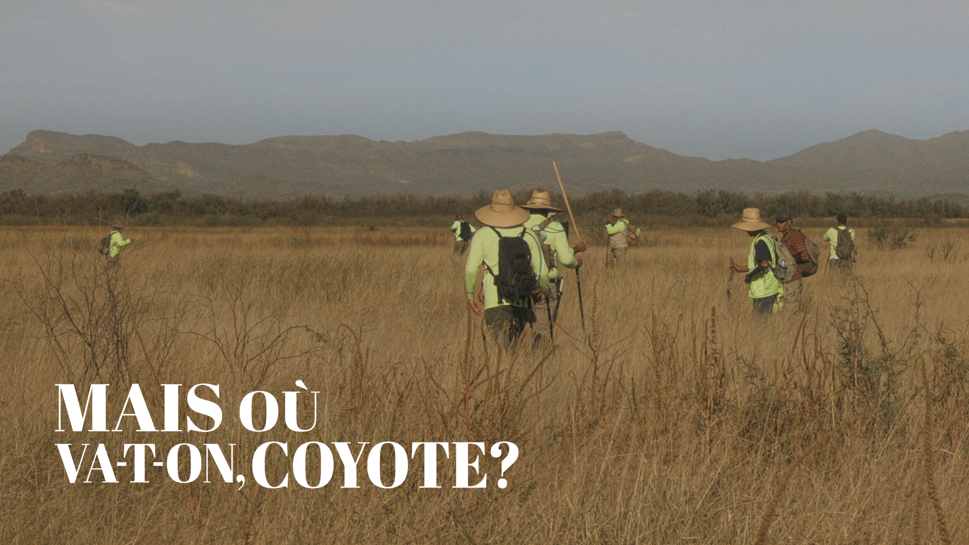 Mais où va-t-on, Coyote?