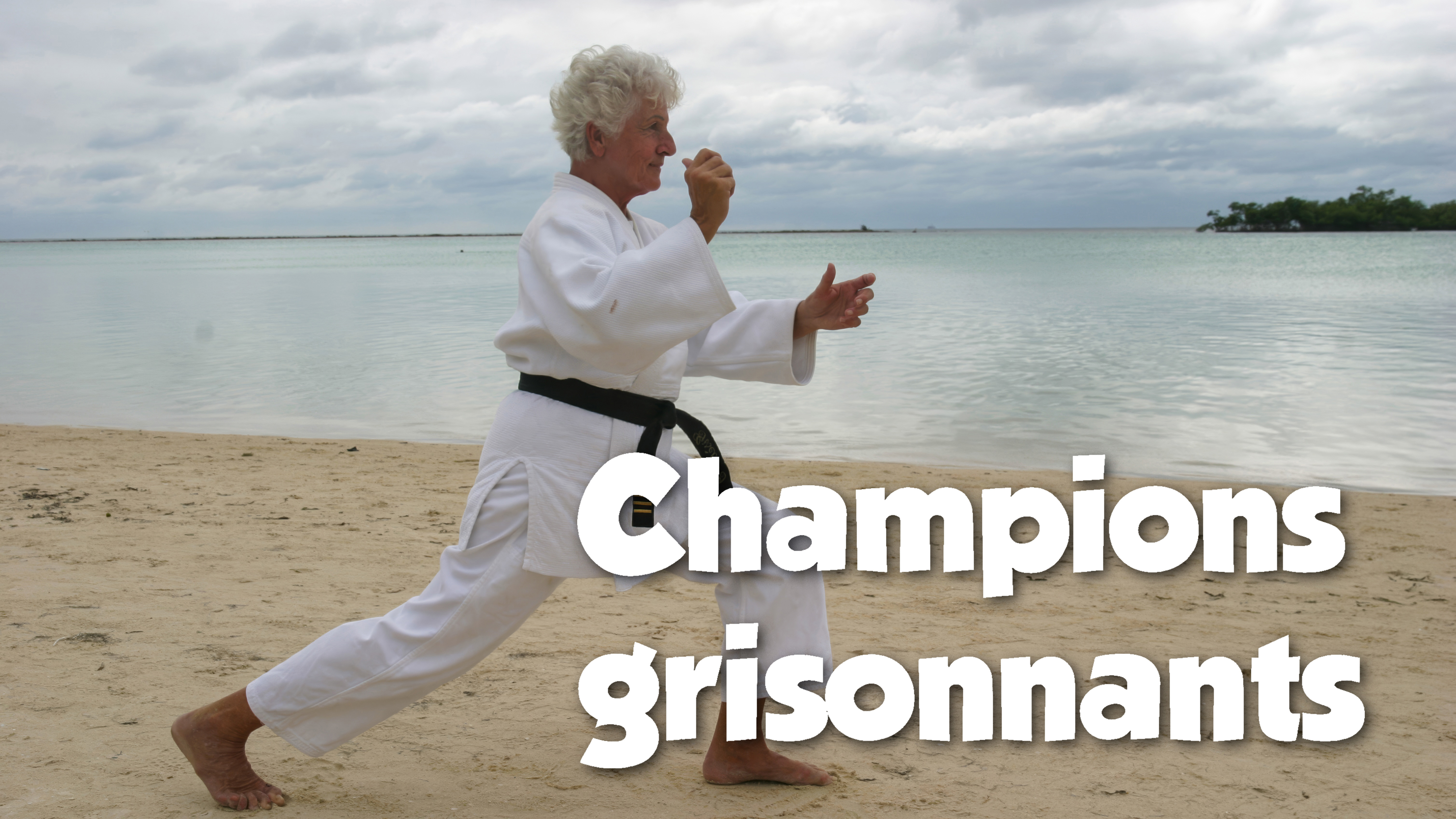 Champions grisonnants