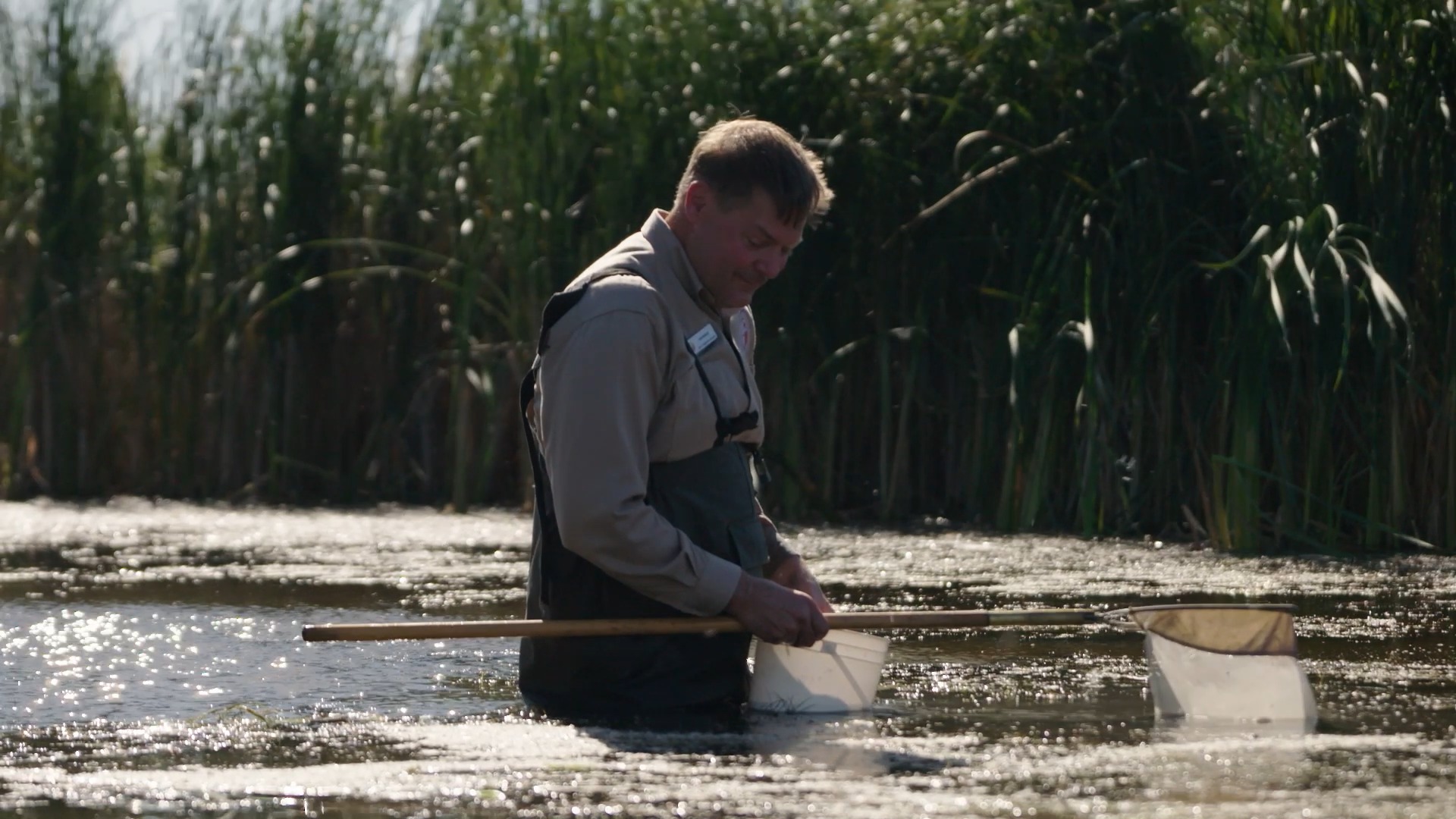La biodiversité des terres humides