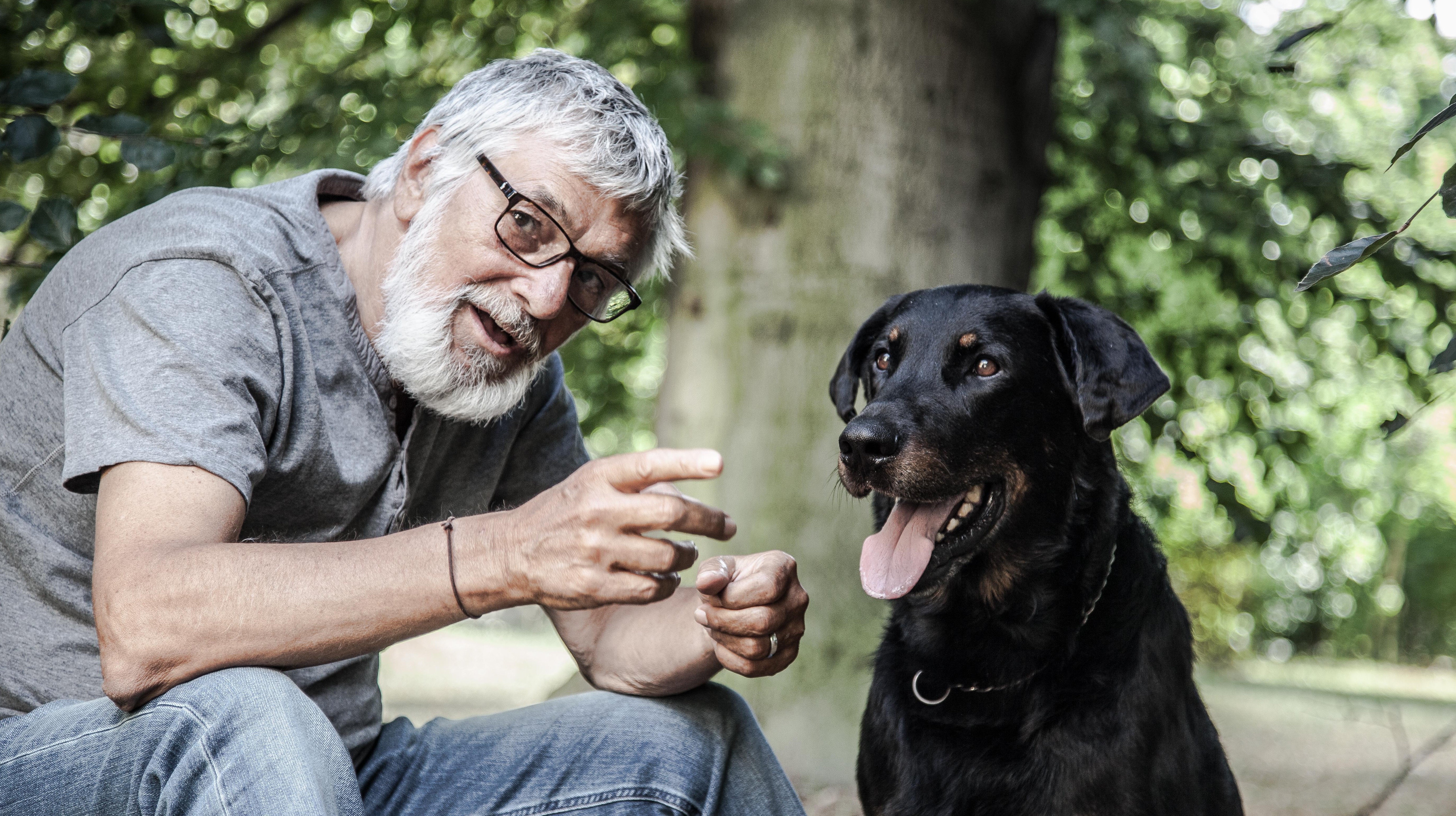 La théorie du tigre