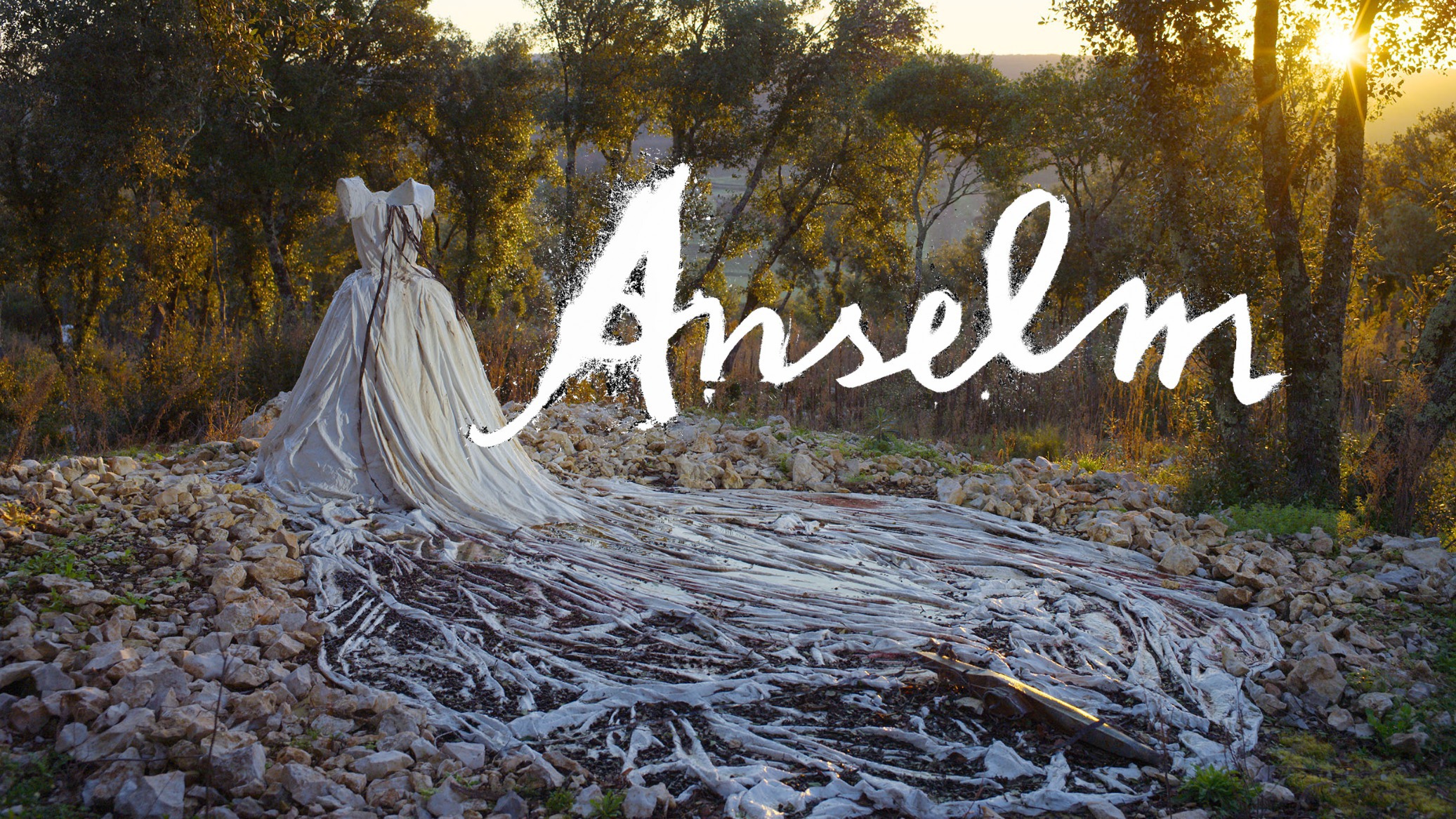 Anselm : Le bruit du temps