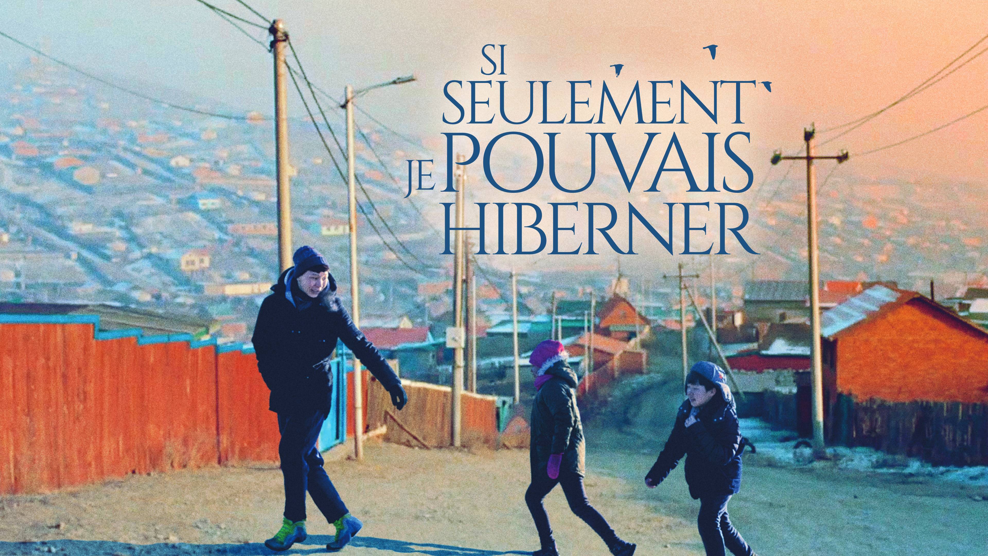 Si seulement je pouvais hiberner