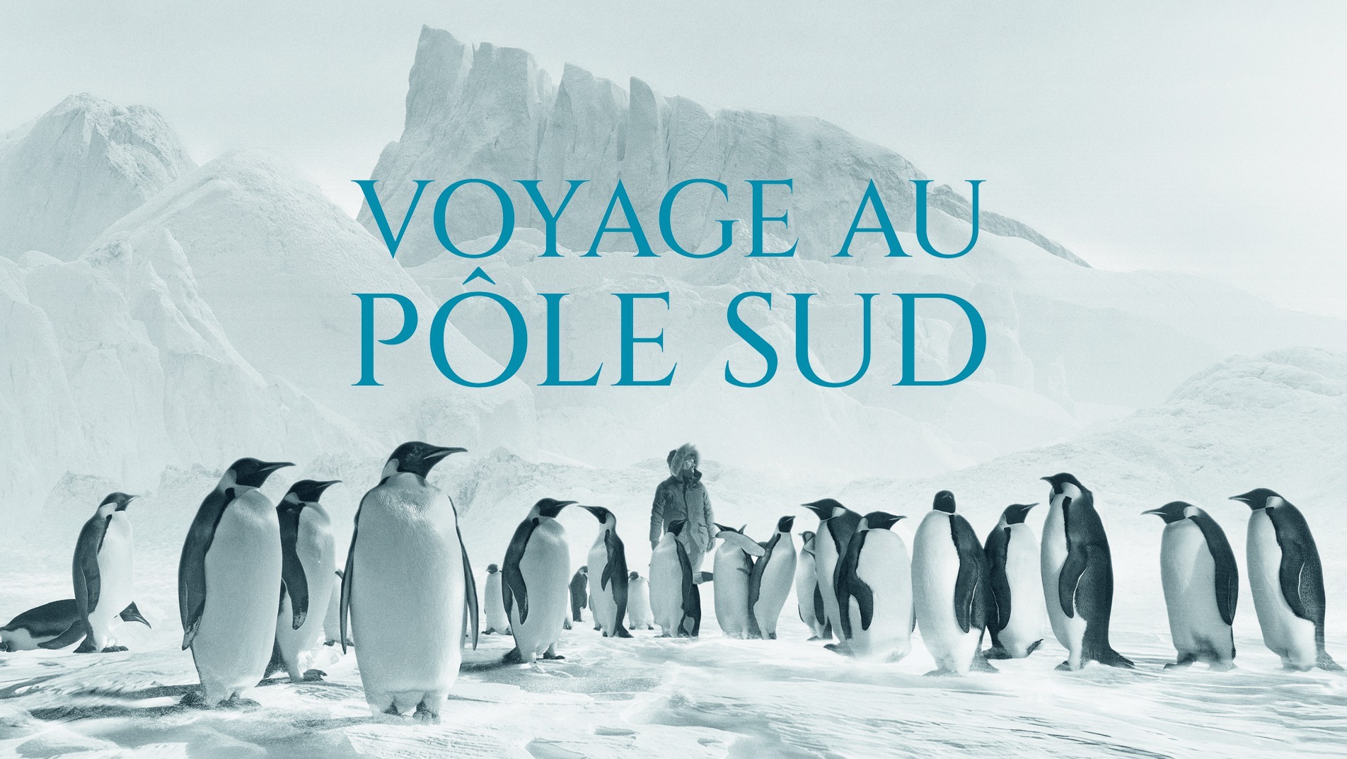 Voyage au pôle Sud